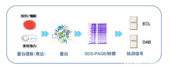 QQ截圖20180630081044.jpg