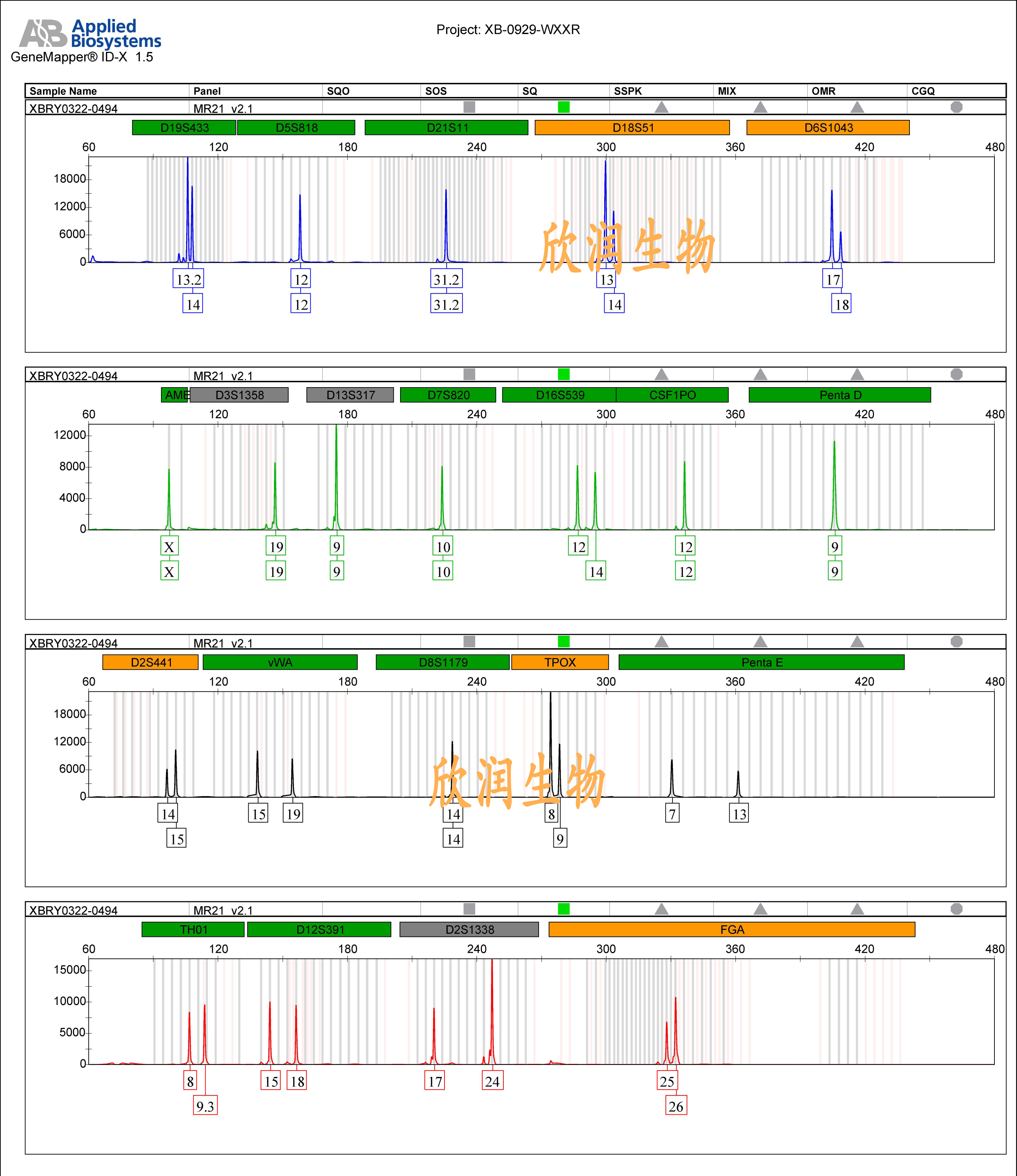 NCI-H2170.jpg